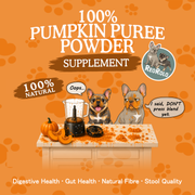 Pumpkin Puree Powder