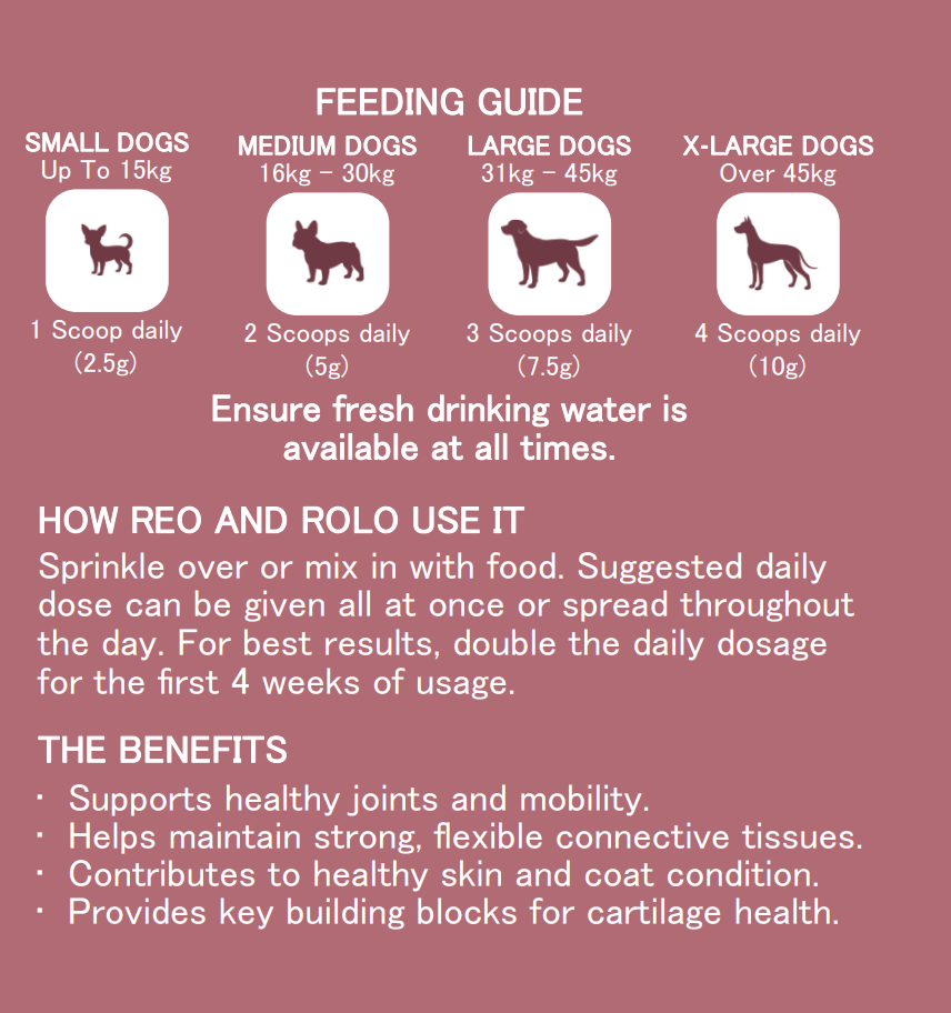Bovine Collagen
