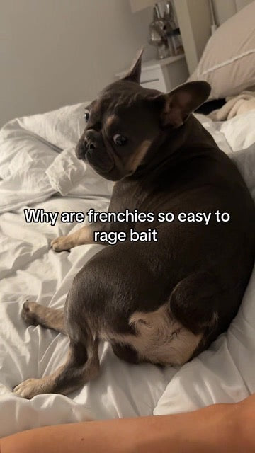 ReoRolo on TikTok